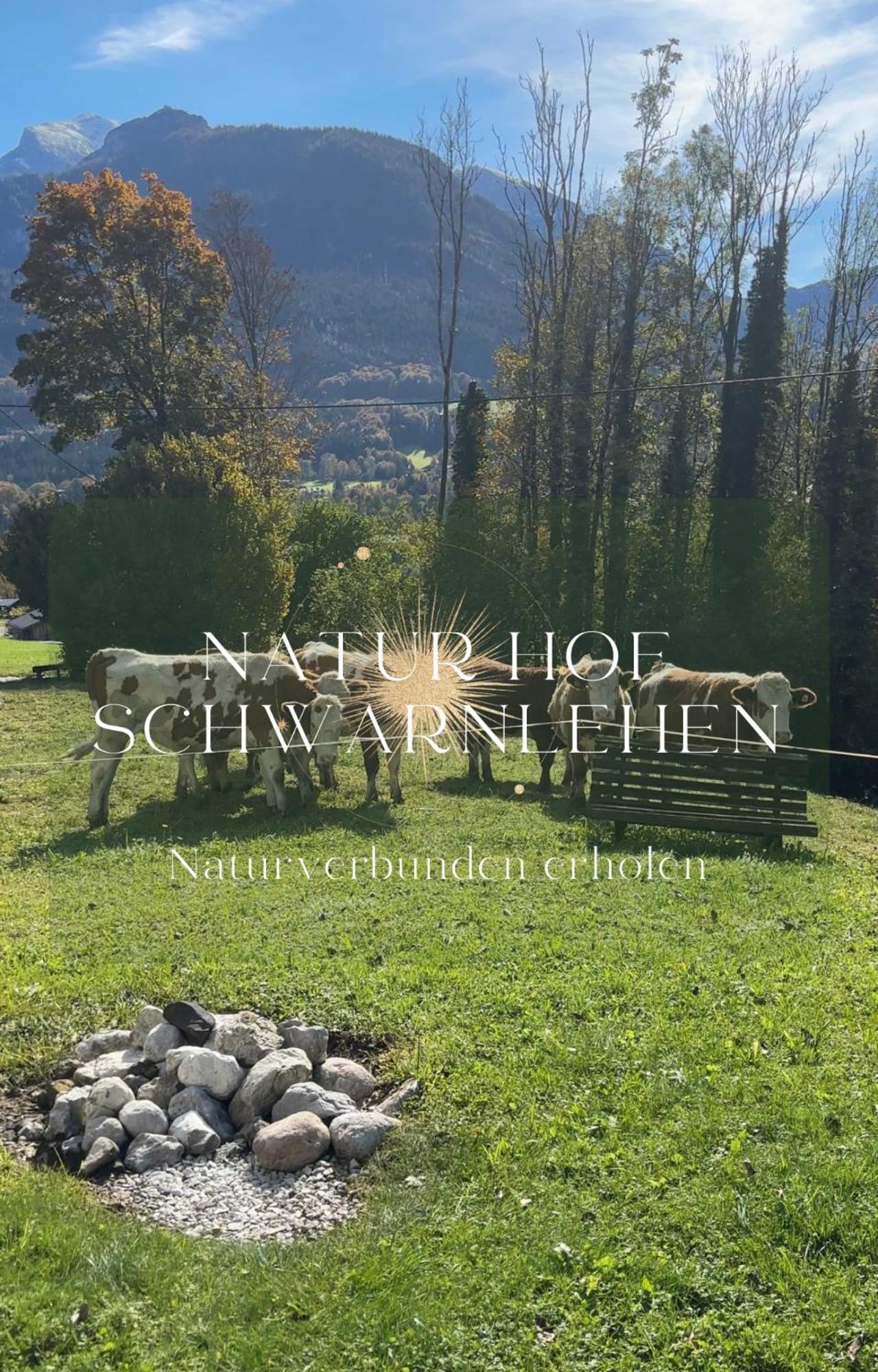 Natur Hof Schwarnlehen Berchtesgaden Esterno foto
